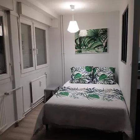 Jungle Appartement Metz Buitenkant foto