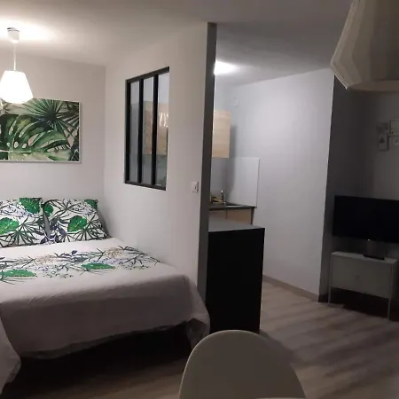 Jungle Appartement Metz Buitenkant foto
