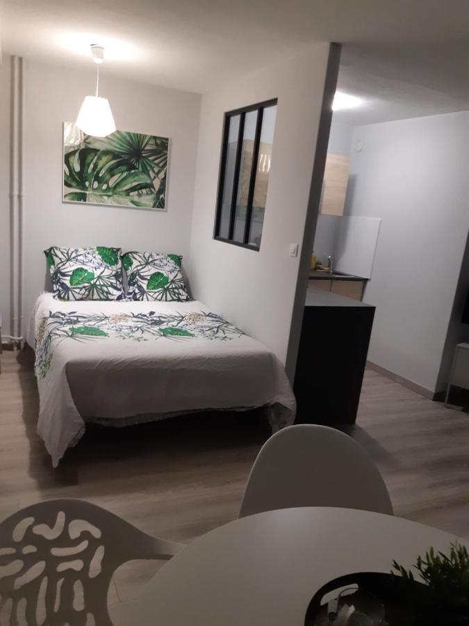 Appartement Jungle